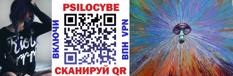 Псилоцибиновые грибы Psilocybe  Калуга 